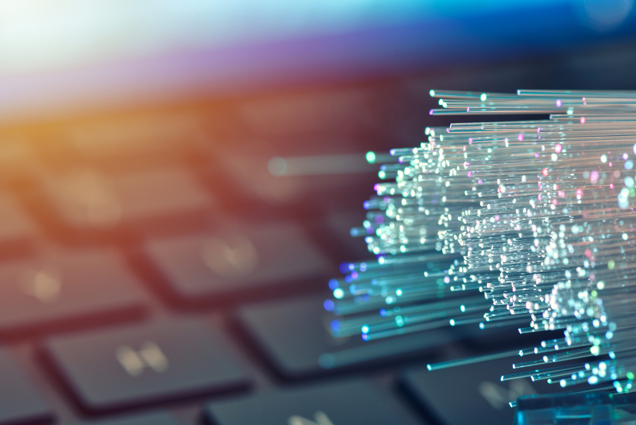 SABRENet welcomes Steven Hill to the team