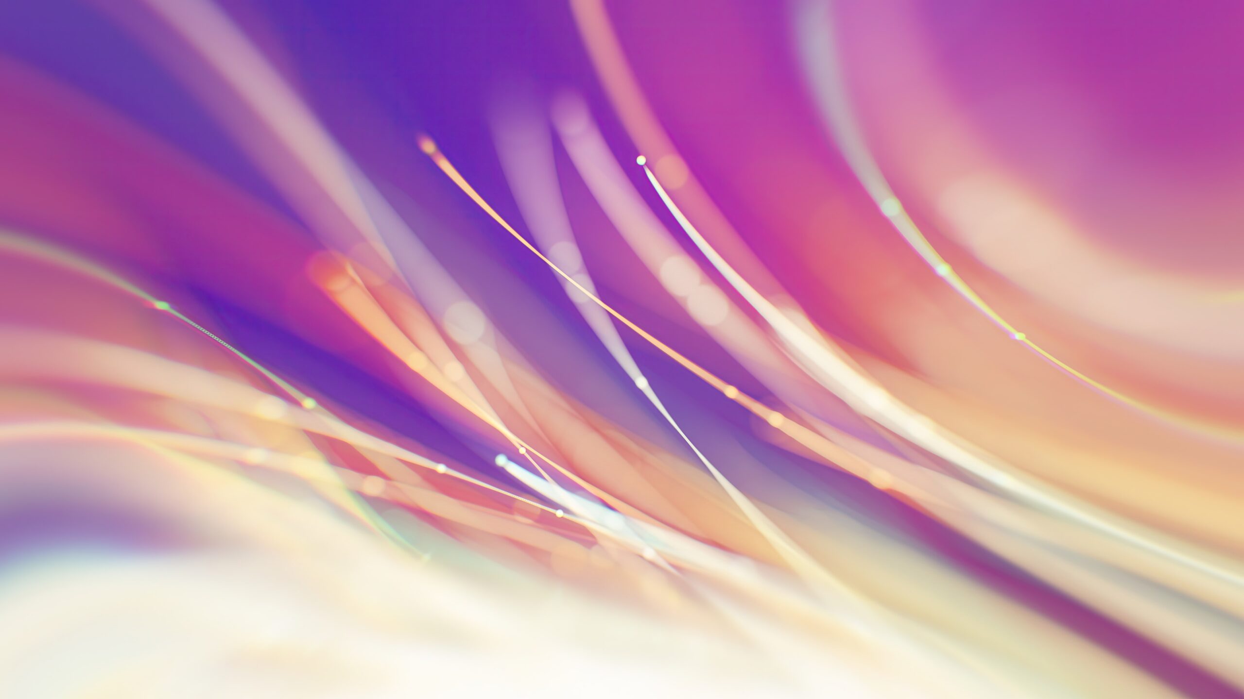 SABRENet Celebrates 20 Years: The Unsung Hero Powering South Australia’s Innovation Future